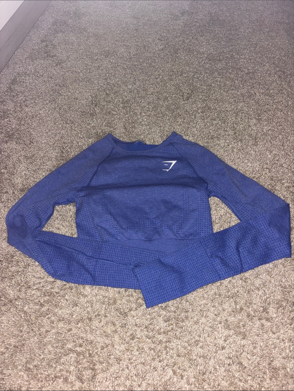 Gymshark Blue Seamless Long Sleeve Crop Top